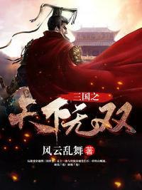 三国之天下无双最新章节更新