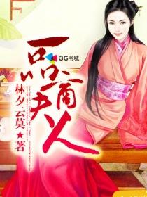 一品夫人简介
