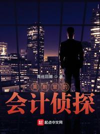 美剧里的会计侦探顶点