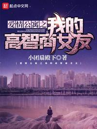 爱情公寓之我女友是胡一菲