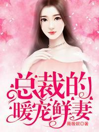 总裁的暖婚甜妻免费阅读全文