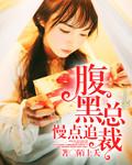 腹黑总裁的追妻计划