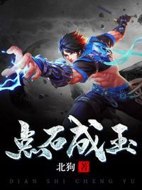 点石成玉TXT