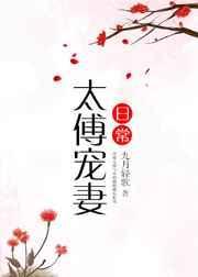 太傅宠妻日常书评