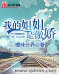 我的傲娇变态姐姐