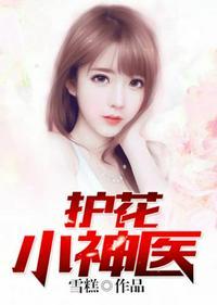 护花小神医陆离免费阅读