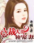 大总裁独宠小甜心