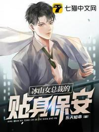 冰山女总裁的贴身神医保镖