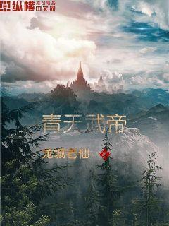 青天大帝是哪个了