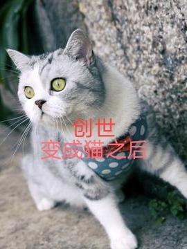 成为创世神之后