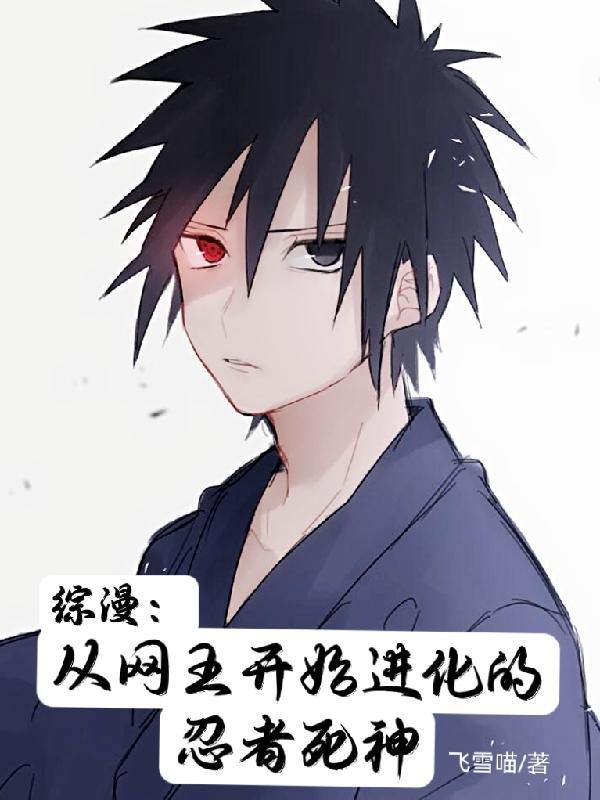 综漫从网王开始进化的忍者死神全集