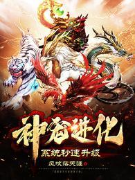 神宠进化系统流