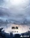 纳夜是哪里