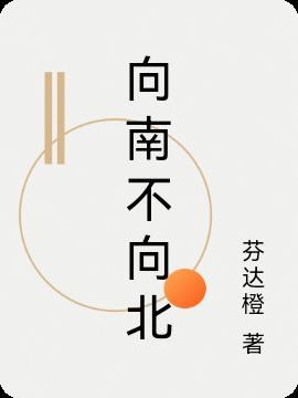 向南不向北向北不向人什么意思