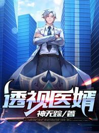 透视医武赘婿