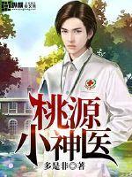 桃源小神医王辰免费阅读全本