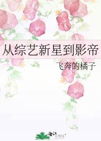 从综艺到爆红全球