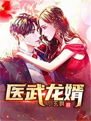 医武龙婿短剧合集