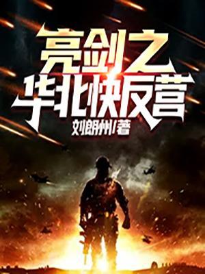 亮剑之华北快反营秦学义