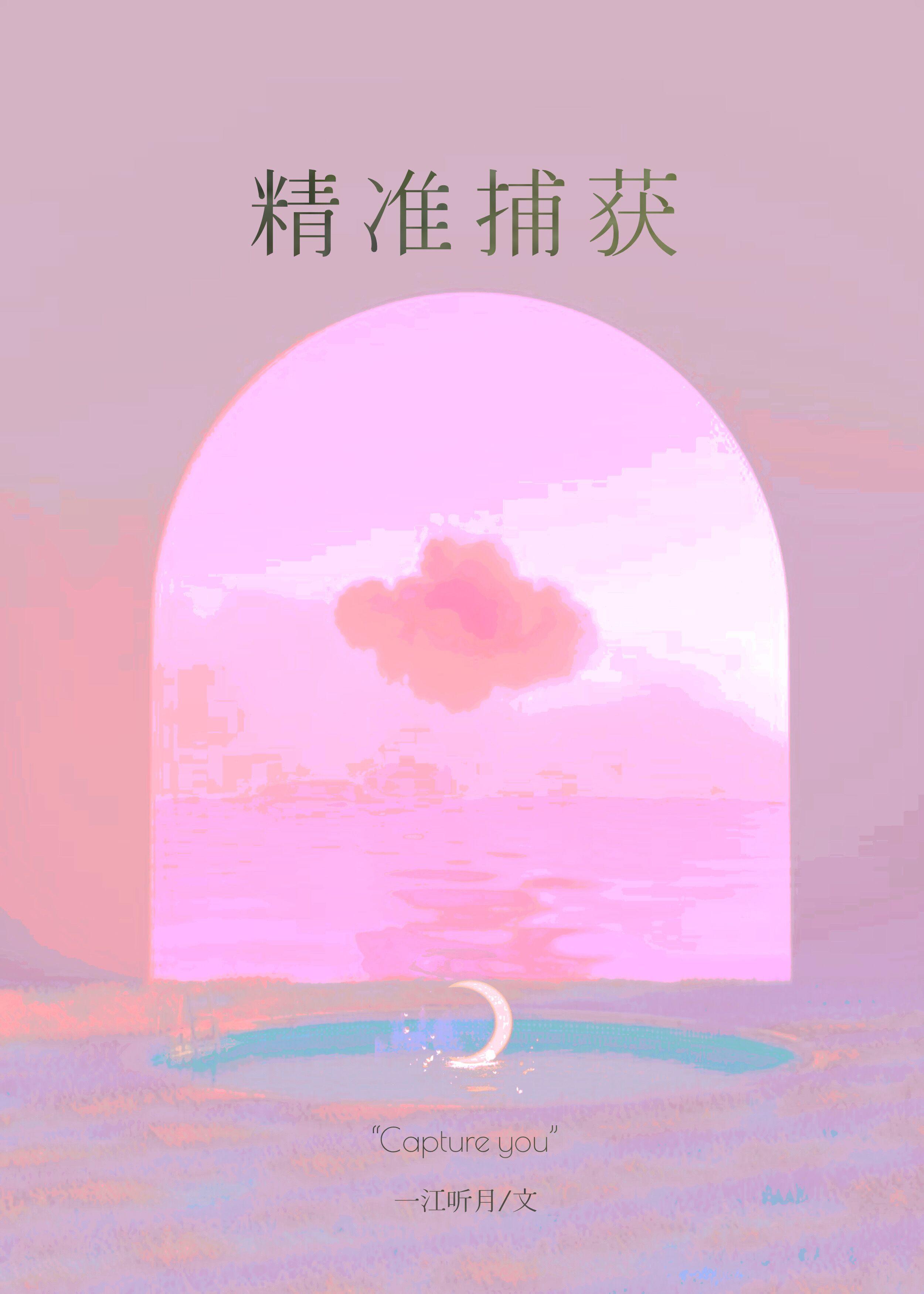 精准捕获by一江听月txt