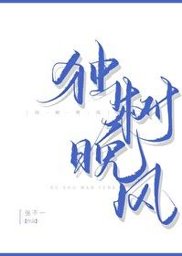 独树晚风续写最新章节免费阅读