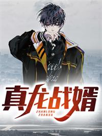 真龙战婿楚阳和秦韵第2章
