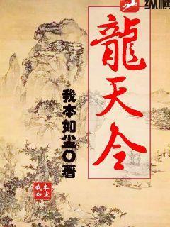 龙天令陈平免费阅读最新