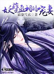 妖孽丞相的宠妻 第529章