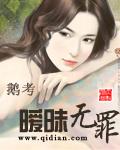 暧昧无罪txt鹅考