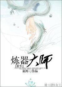炼器排行榜完本书