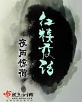 红楼夜话全本TXT