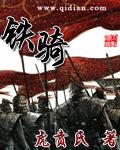 铁骑银瓶电视剧在线观看