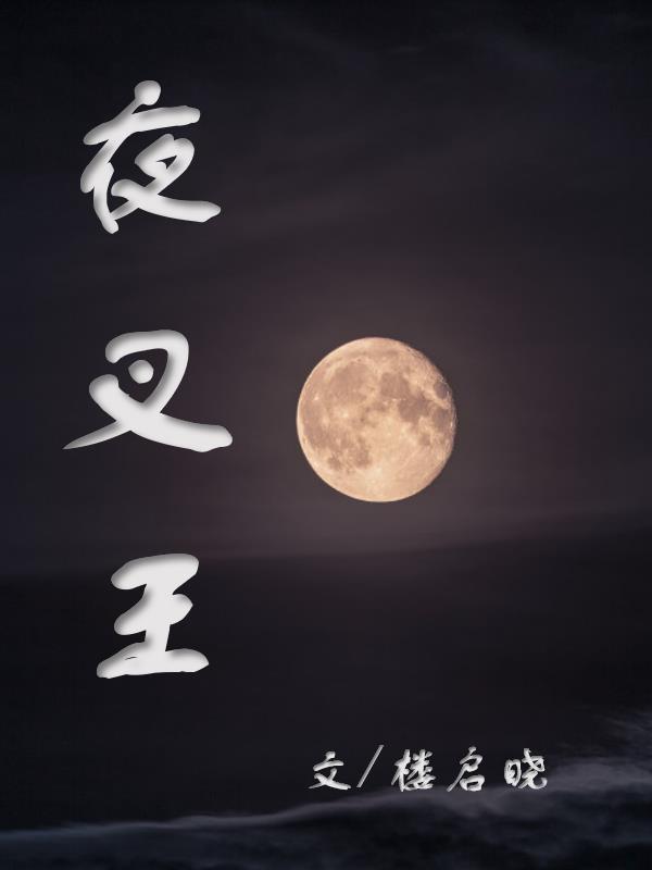 夜叉王套装