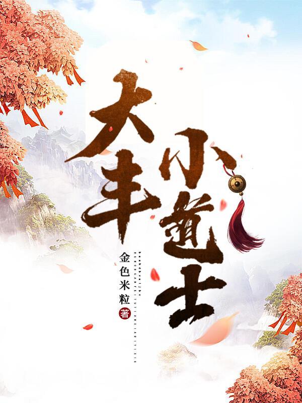 大丰小道士的简介