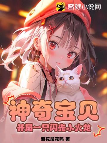 神奇宝贝开局闪光小火龙