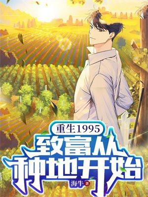 重生从1995到世界首富