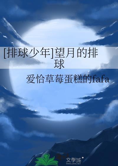 排球少年用的什么排球