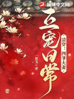 四爷清穿宠文
