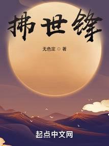 拂世锋讲的什么