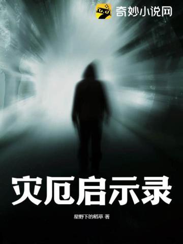 灾厄启示录最强武器