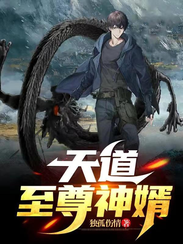 至尊神婿电视剧免费观看