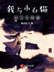 我与小猫相处的日子