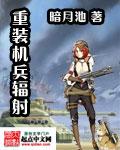 sfc重装机兵副炮