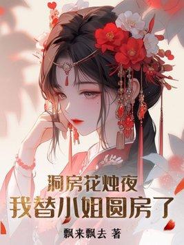 洞房花烛夜我替小姐圆房了作者飘来飘去