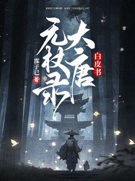 白皮书大唐无杖录晋江
