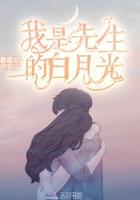 我是个先生