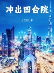 冲出四合院TXT电子书