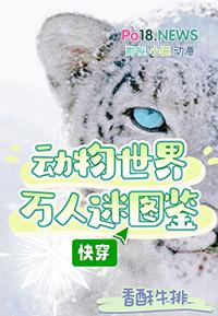 动物世界