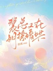 裴总的电视剧叫什么