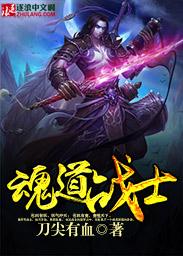 圣斗士战士魂